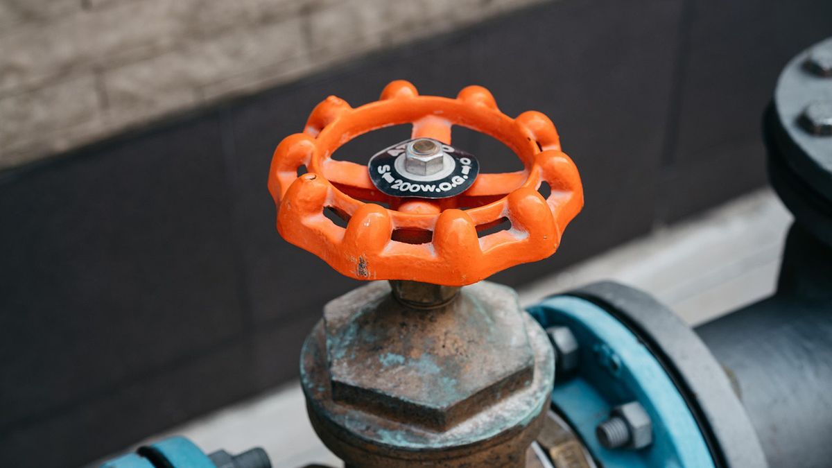 Zdjęcie ilustracyjne