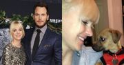Chris Pratt i Anna Faris PORZUCILI PSA! Został znaleziony na ulicy...