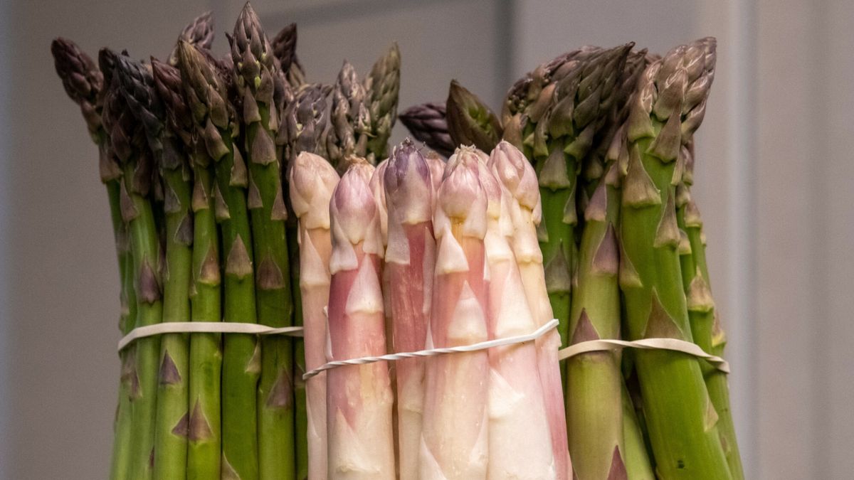 Ceny szparagów w górę. Ile będą kosztować w sezonie?