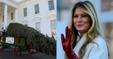 Obwieszona metkami Melania Trump odebrała choinkę. Pamiętacie jej słynne słowa o świętach? "Kogo obchodzi to CAŁE BADZIEWIE?" (ZDJĘCIA)