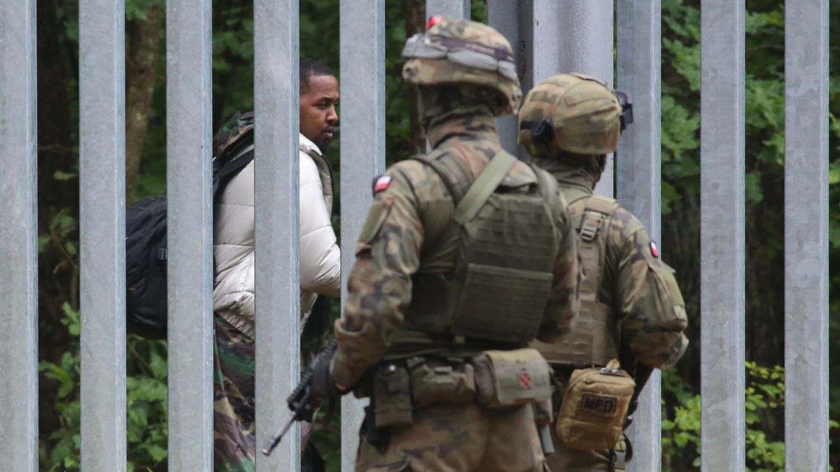 Sytuacja na granicy polsko-bia?oruskiej
05.06.2024. Podlasie. Puszcza Bialowiska. Zapora na granicy z Bialorusia, za kilka dni powstanie strefa buforowa. Fot. Mateusz Kotowicz/REPORTER
Mateusz Kotowicz/REPORTER