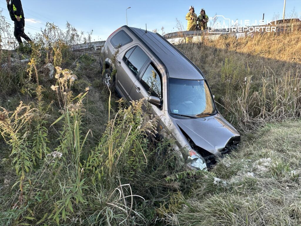 SUV w rowie, otoczony wysoką trawą i krzewami, obok strażacy przyglądają się sytuacji.