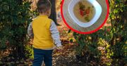 Trzylatek uciekł z przedszkola. Personel zauważył "wolny jeden talerz z zupą"