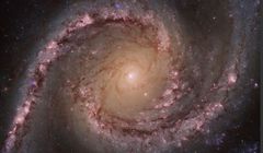 Czarne dziury pożerają tysiące gwiazd. Najgorsze są „maluchy”