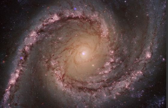 Czarne dziury pożerają tysiące gwiazd. Najgorsze są „maluchy”