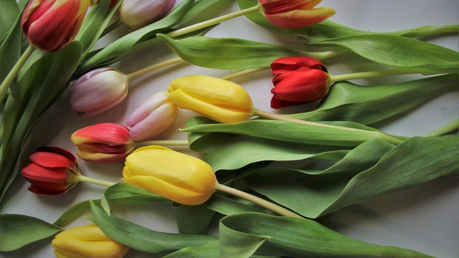 Dzień Kobiet 2021. Życzenia