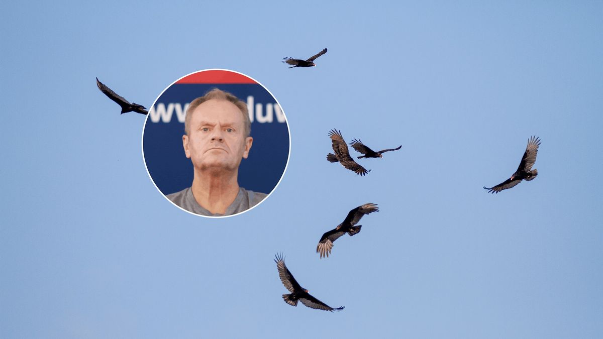 Państwowa instytucja bez finansowania?