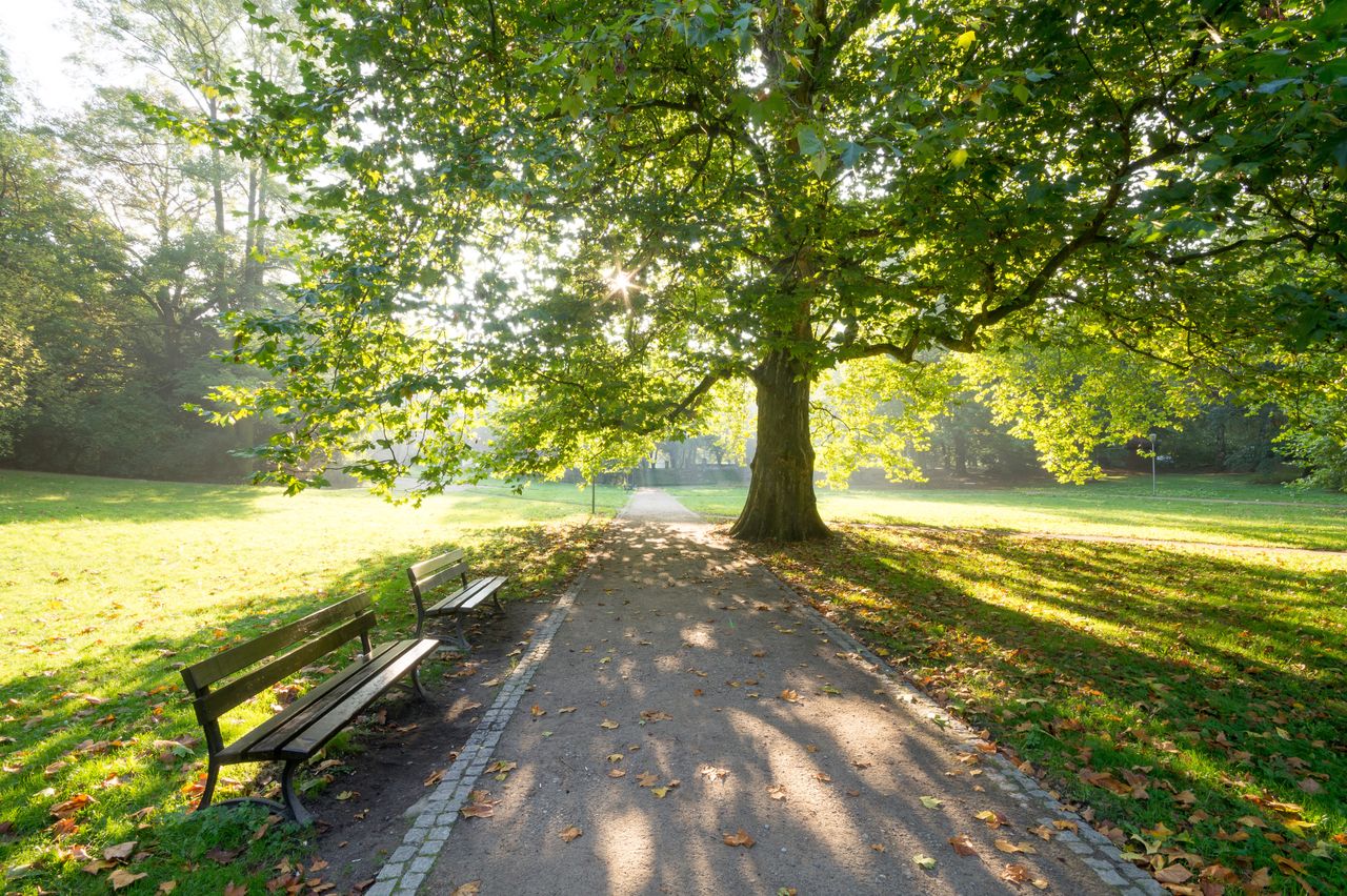 Olsztyn: Piękny park z zielenią i miejscem do relaksu. Kilka minut spacerem od starówki