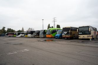 Kolejna branża protestuje. "Trzy czwarte firm nie dotrwa do wiosny"