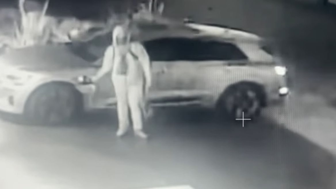 Samochody elektryczne zaparkowane na podjeździe są łatwym kąskiem dla złodziei