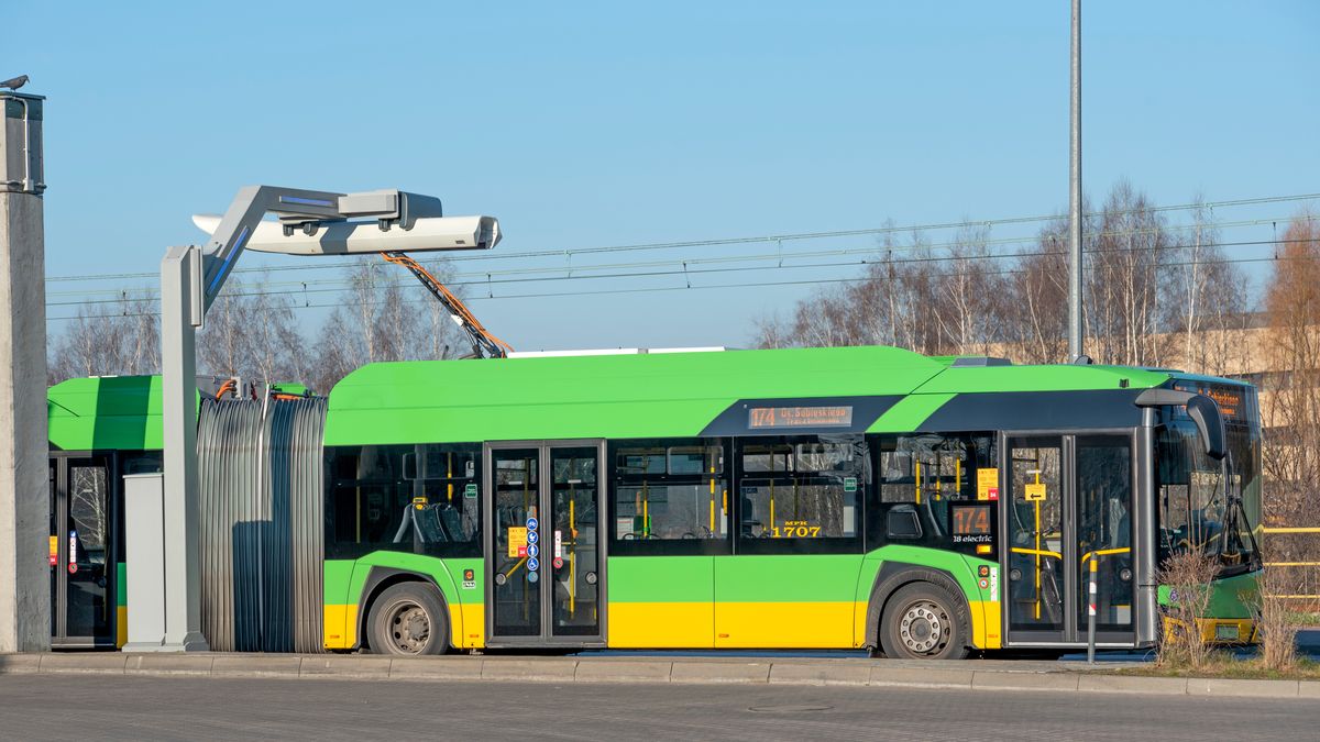 Brakuje kierowców MPK w Polsce. Mogą zarobić duże pieniądze 