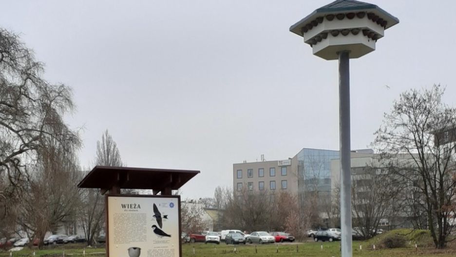 Warszawa. Hotel dla jaskółek. Wiosną mogą zasiedlać wieżę na Pradze