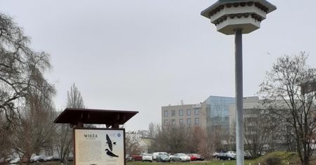 Warszawa. Hotel dla jaskółek. Wiosną mogą zasiedlać wieżę na Pradze