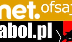 Ofsajd.onet.pl i Babol.pl najpopularniejszymi serwisami sportowymi na luzie