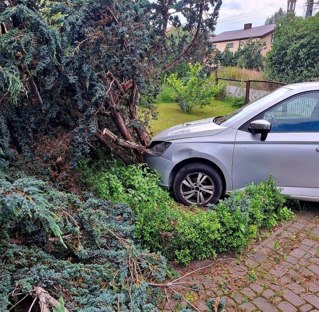 Nie zatrzymał się do kontroli, uciekał i uderzył w drzewo. Na początek 5300 zł mandatu (zdjęcia)