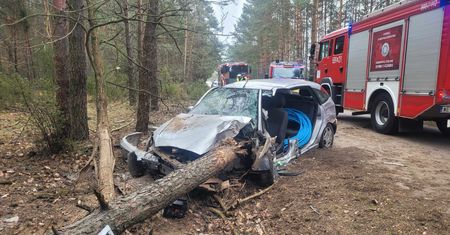 Koszmarny wypadek w Anastazewie. Drzewo przebiło samochód