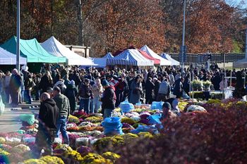 Warszawa: Tak wygląda jarmark cmentarny. Piernikowe latte, oscypki i pączki. W tym roku mniej stoisk niż zwykle