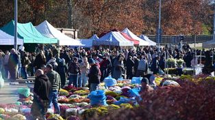 Warszawa: Tak wygląda jarmark cmentarny. Piernikowe latte, oscypki i pączki. W tym roku mniej stoisk niż zwykle
