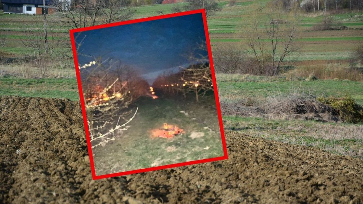 Mróz wyrządził szkody w uprawach