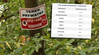 Ceny działek budowlanych w Polsce jeszcze niedawno biły rekordy. Jak jest teraz?