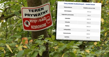 Ceny działek budowlanych w Polsce jeszcze niedawno biły rekordy. Jak jest teraz?