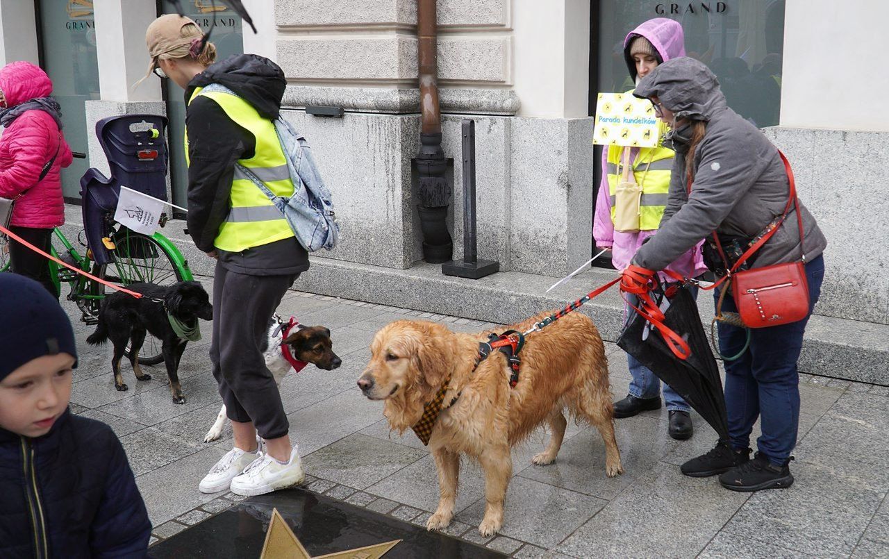 marsz psów ulicą Piotrkowską