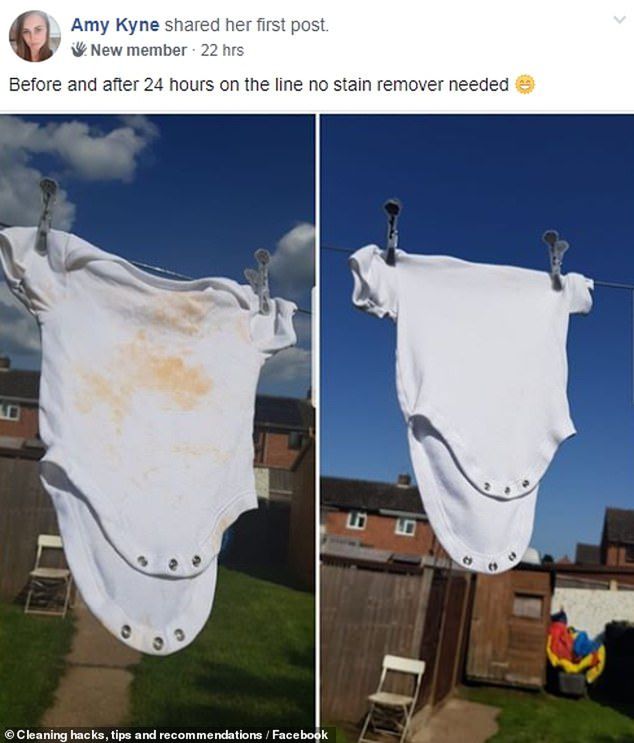 Na zdjęciu body po 24 godzinach suszenia się na słońcu