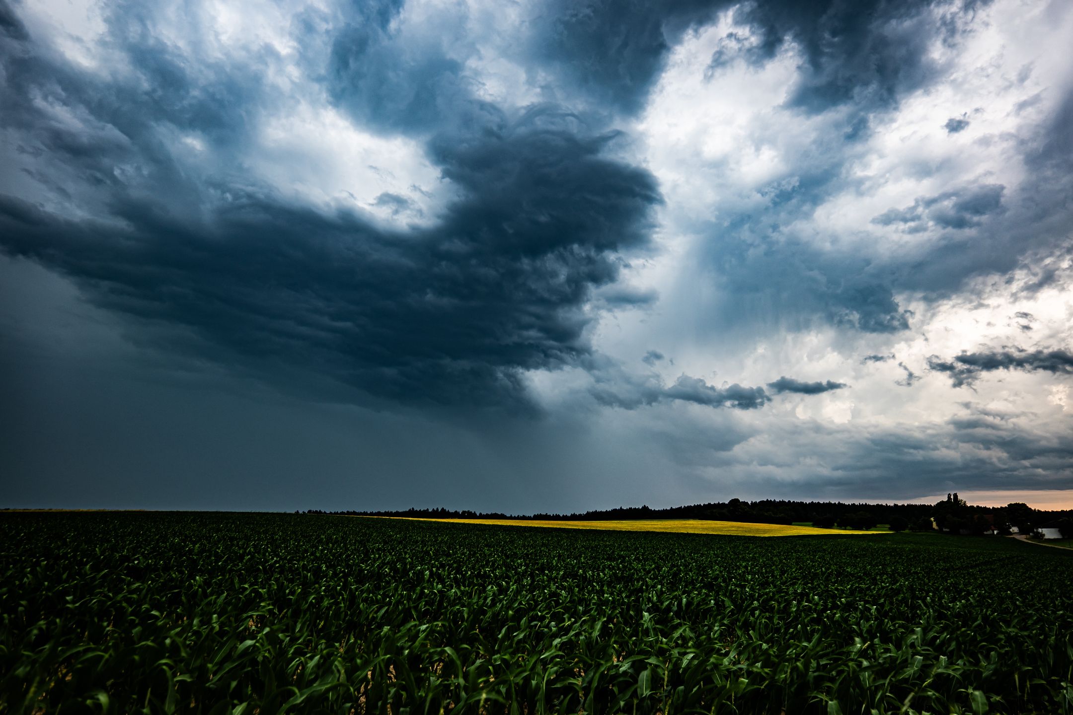wolkenbruch, gewitter, gewitterwolke, regenfront, auftürmend, bayern, bedrohlich, bewölkt, cumulonimbus, cumulus, dramatisch, dunkel, dunkle, freising, gefahr, gefährlich, gewittercluster, gewitterwolken, himmel, klima, klimawandel, kumulonimbus, landkreis freising, landschaft, oberbayern, quellwolken, regen, regenwolken, spektakulär, starkregen, sturm, sturmbewölkung, superzelle, unwetter, unwetterwarnung, warnung, wetter, wiese, wolke, wolken, wolkenturm