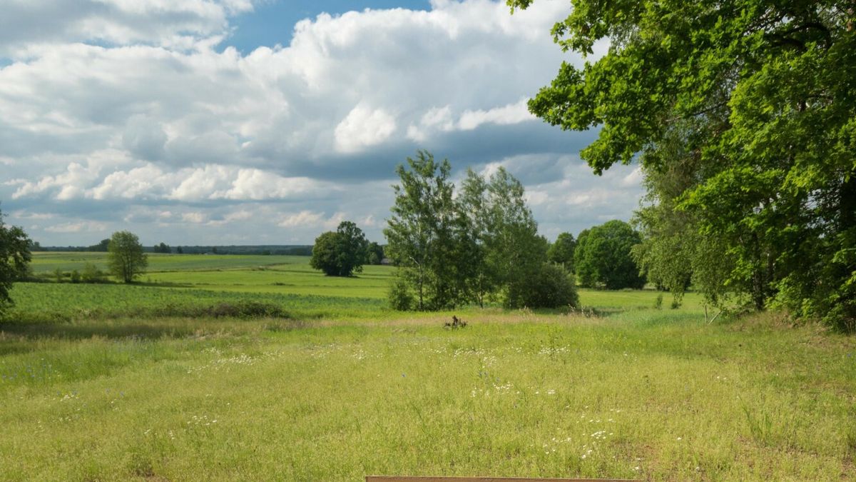 EastNews/Arkadiusz Ziołek