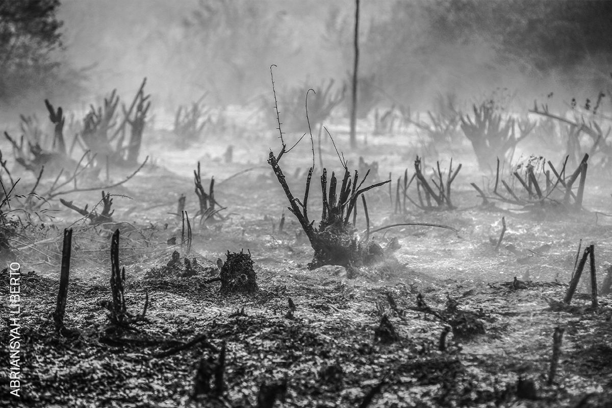 World Press Photo 2022: Poznaj najlepszych fotografów różnych kontynentów 134
