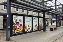 Fot. materiały prasowe