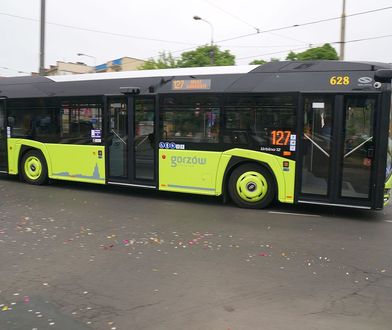 Gorzów Wielkopolski. Pijany pasażer pogryzł kierowcę autobusu
