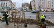 Białystok: Ulica Sienkiewicza w końcu zazielenia się. Wszystko w ramach budżetu obywatelskiego