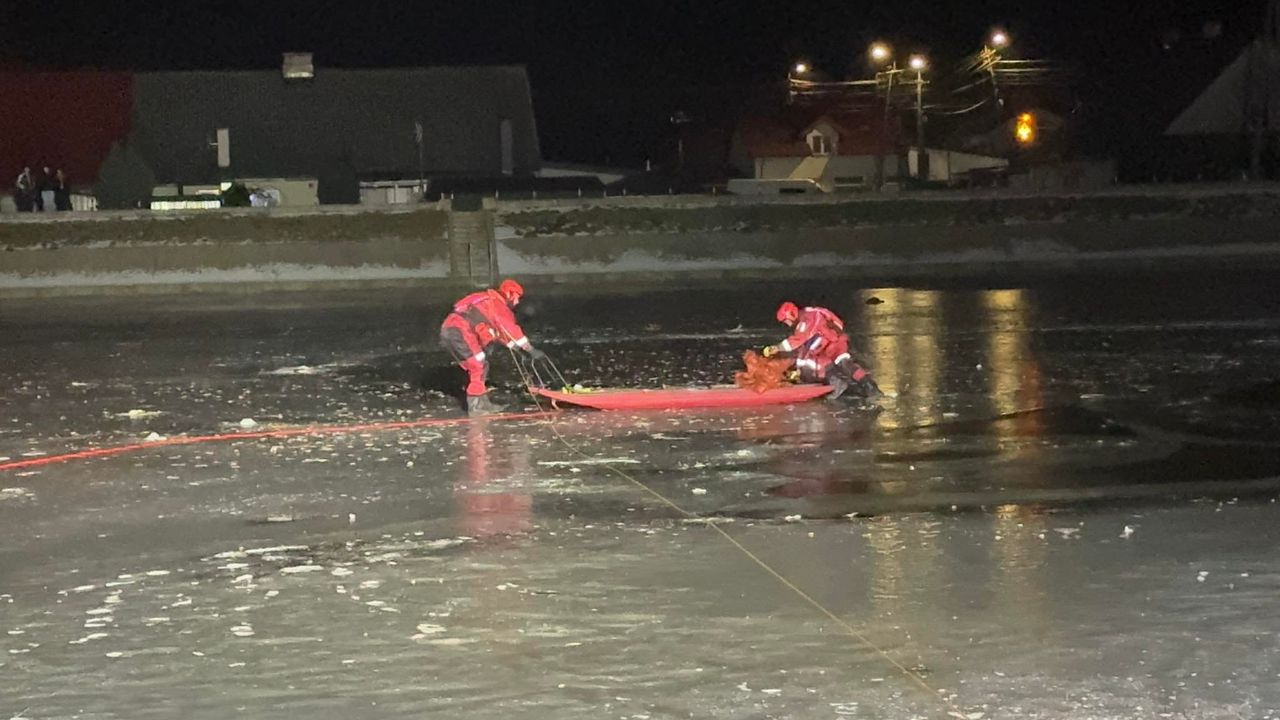 Interwencja strażaków w Nowym Duninowie. Trzy łabędzie przymarznięte do lodu!