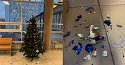 Zniszczyli choinkę w sądzie. "Symbol braku człowieczeństwa"