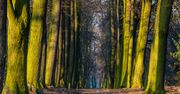 Głuchowo: Lofry z kejtrem! To dopiero była dobra zabawa i przygoda z psem u boku! Tak poznawali urokliwe zakątki parku-arboretum