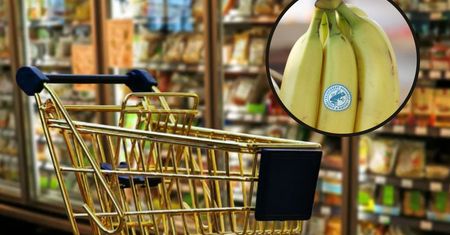 Widzisz ten symbol na produktach? Niewielu wie, co naprawdę oznacza