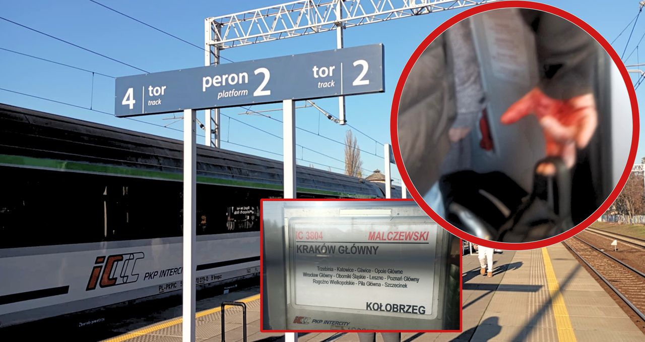 Bójka w pociągu IC Malczewski. Konieczna interwencja policji i pogotowia