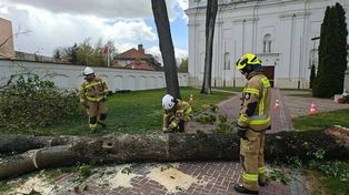 Chaos po wichurze! Zniszczenia w Pułtusku i okolicach