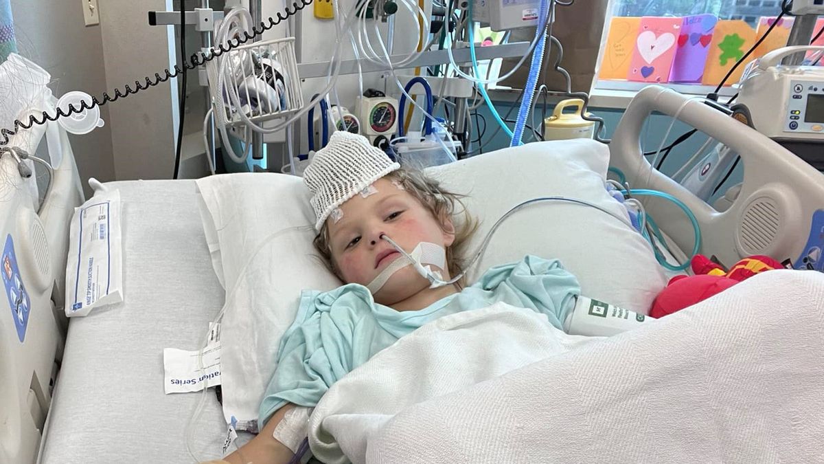 Chłopiec zachorował po ugryzieniu kleszcza 