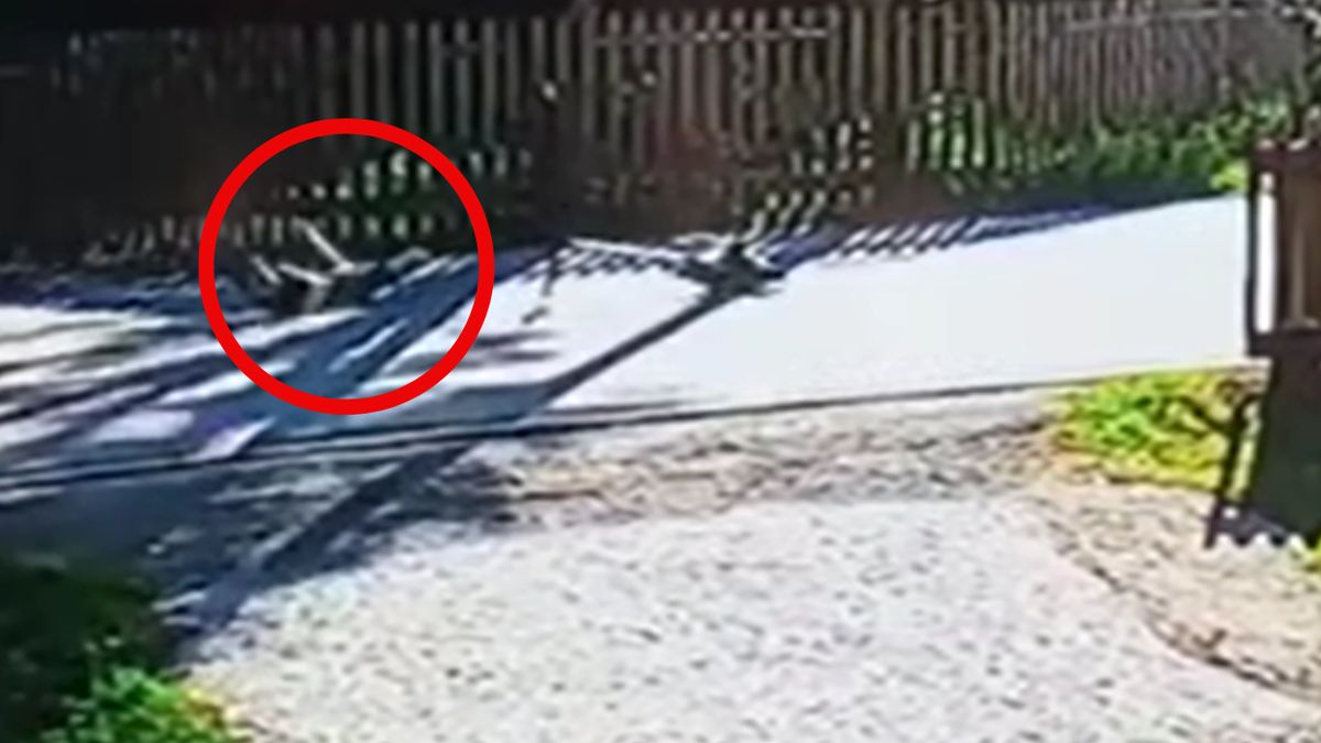 11-latek spadł z hulajnogi