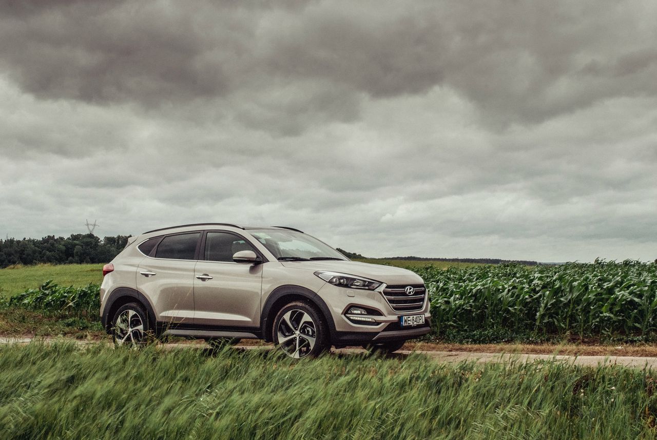 Hyundai Tucson na jednym z dojazdów do odcinka specjalnego