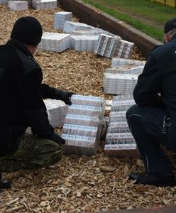 Nieudany przemyt. 30,5 tys. paczek papierosów w pociągach