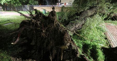 Warmińsko-mazurskie. Strażak ranny podczas usuwania skutków wichury