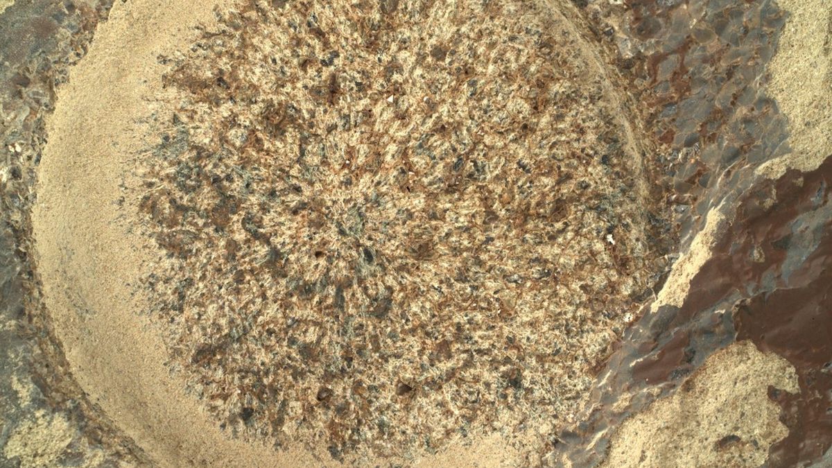 NASA wywołała spore zamieszanie