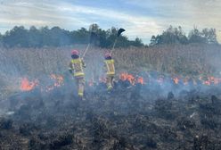 Pożar w Biebrzańskim Parku Narodowym. "Obszar sięga 70 ha"
