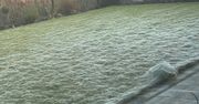 Wyszedł do ogrodu. "Prawie dostałem zawału"