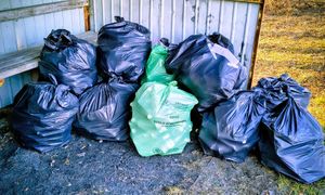 Dwie dziewczyny posprzątały wieś. "Przykład nowoczesnego patriotyzmu lokalnego"