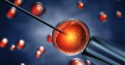 Sukces w Procesie In Vitro: Optymalne Podejście i Praktyczne Wskazówki dla Par