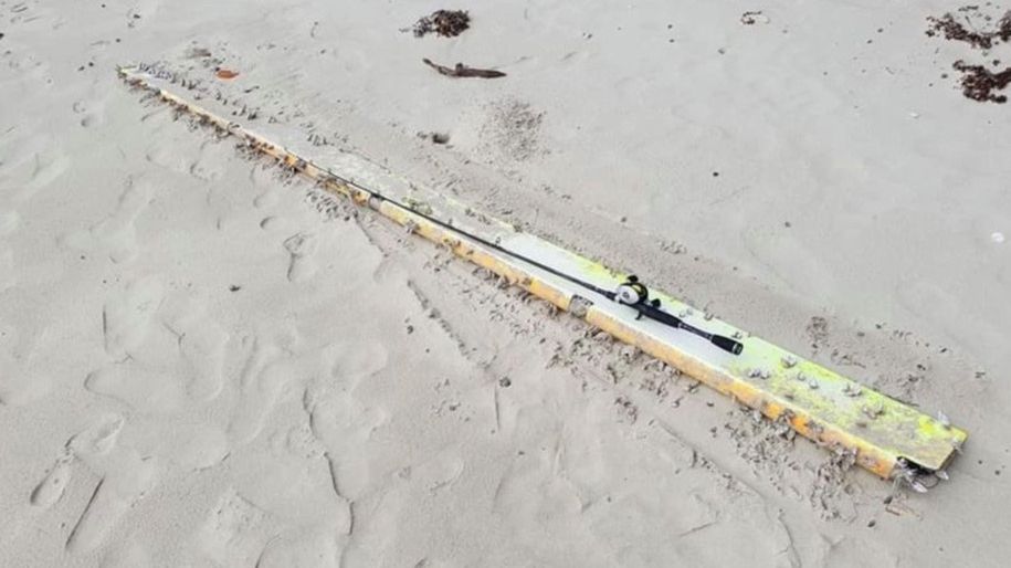 Część wyrzucona na brzeg